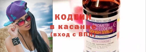 индика Заволжье