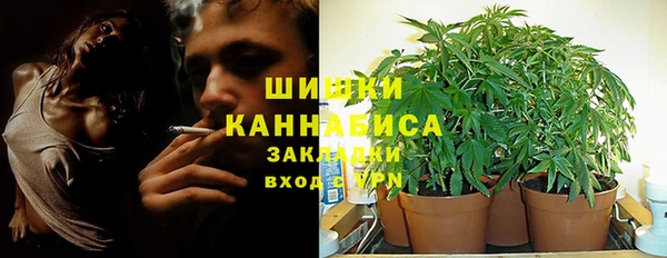 ГАЛЛЮЦИНОГЕННЫЕ ГРИБЫ Абдулино