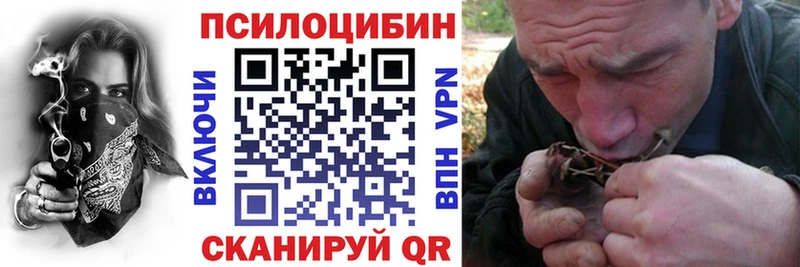 купить   гидра ONION  Галлюциногенные грибы Magic Shrooms  Кораблино 